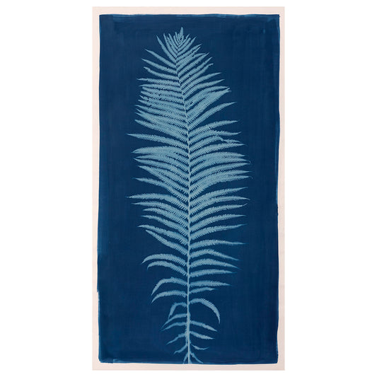 Plant, botanical, Ostrich Fern, cyanotype, color, blue, white, art, photography, photogram, cameraless, Matteuccia struthiopteris, Samuel Stuart Hollenshead