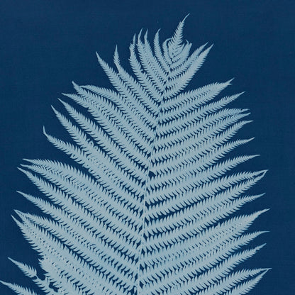 OSTRICH FERN # 1